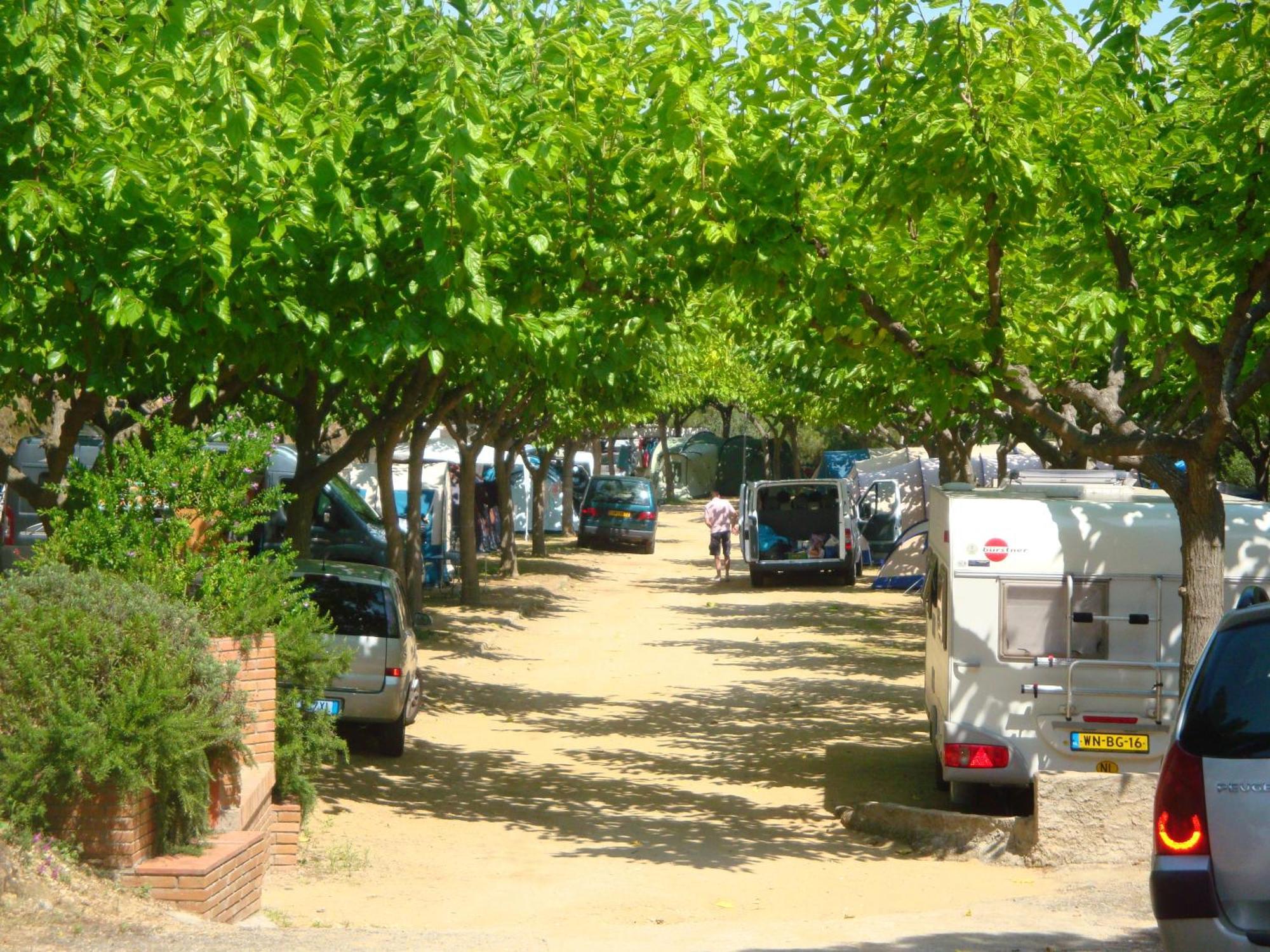 Hotel Camping Roca Grossa Calella Exteriér fotografie