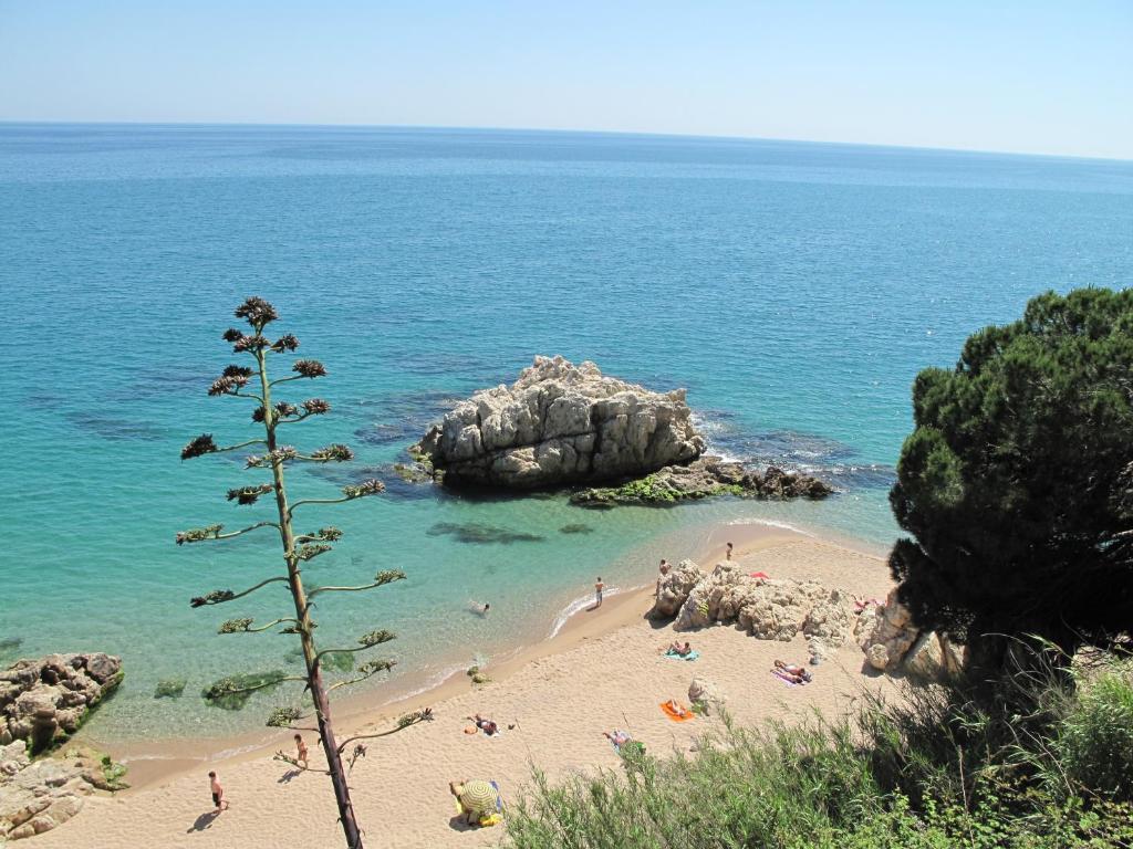 Hotel Camping Roca Grossa Calella Exteriér fotografie